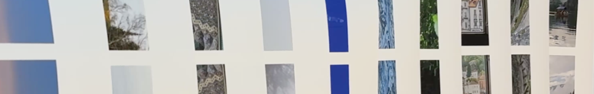 What the Print Holds