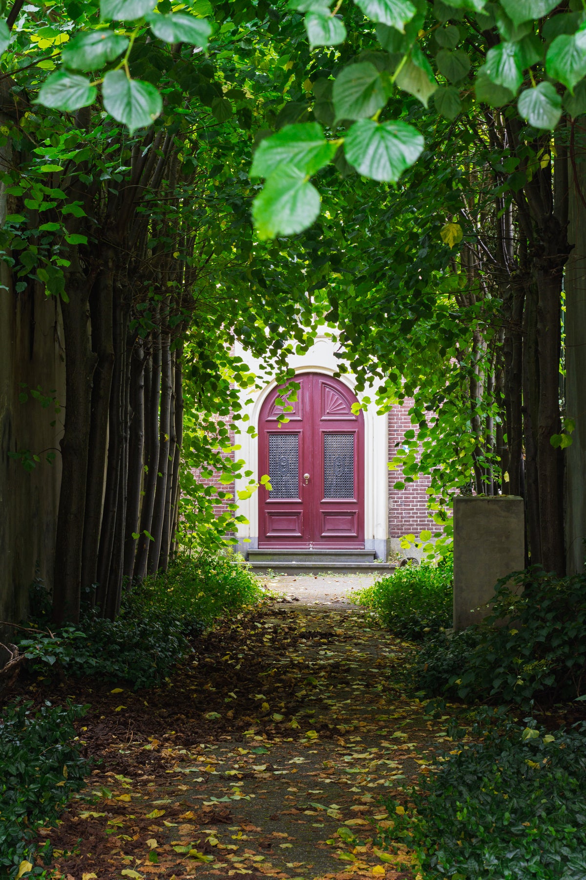 A leaf-covered path beneath a dense green canopy leads toward an arched red door.