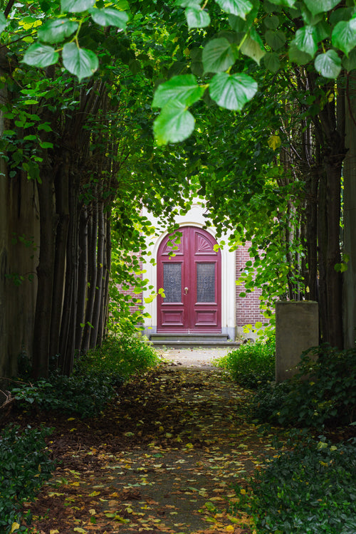 A leaf-covered path beneath a dense green canopy leads toward an arched red door.