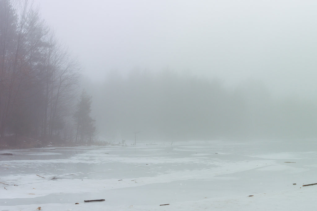 A frozen lake covered in dense fog, with bare trees fading into the mist along the left shoreline and scattered branches resting on the snow-covered ice.
