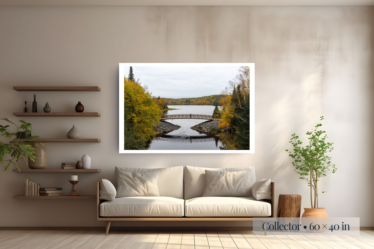 Collector: A Season Between Generations shown as a Collector 60 × 40-inch print above a sofa.