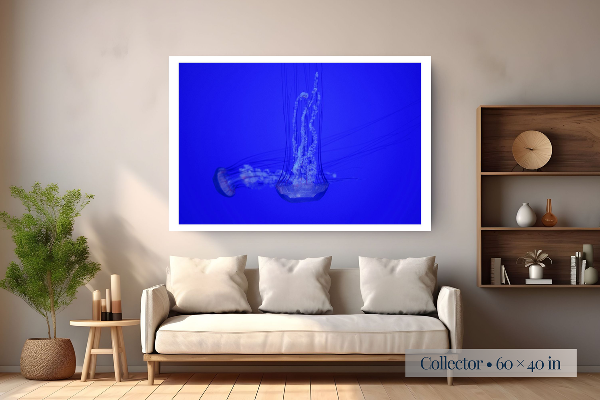 Collector: Free Form shown as a Collector 60 × 40-inch print above a sofa.