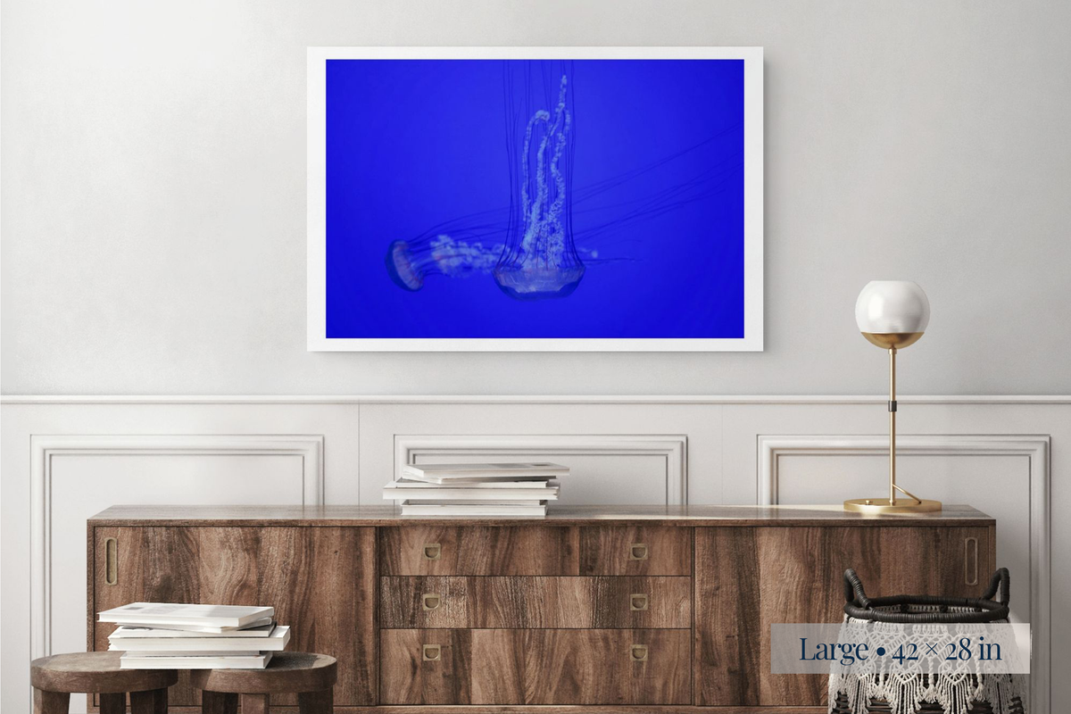 Large: Free Form shown as a Large 42 × 28-inch print above a sideboard.