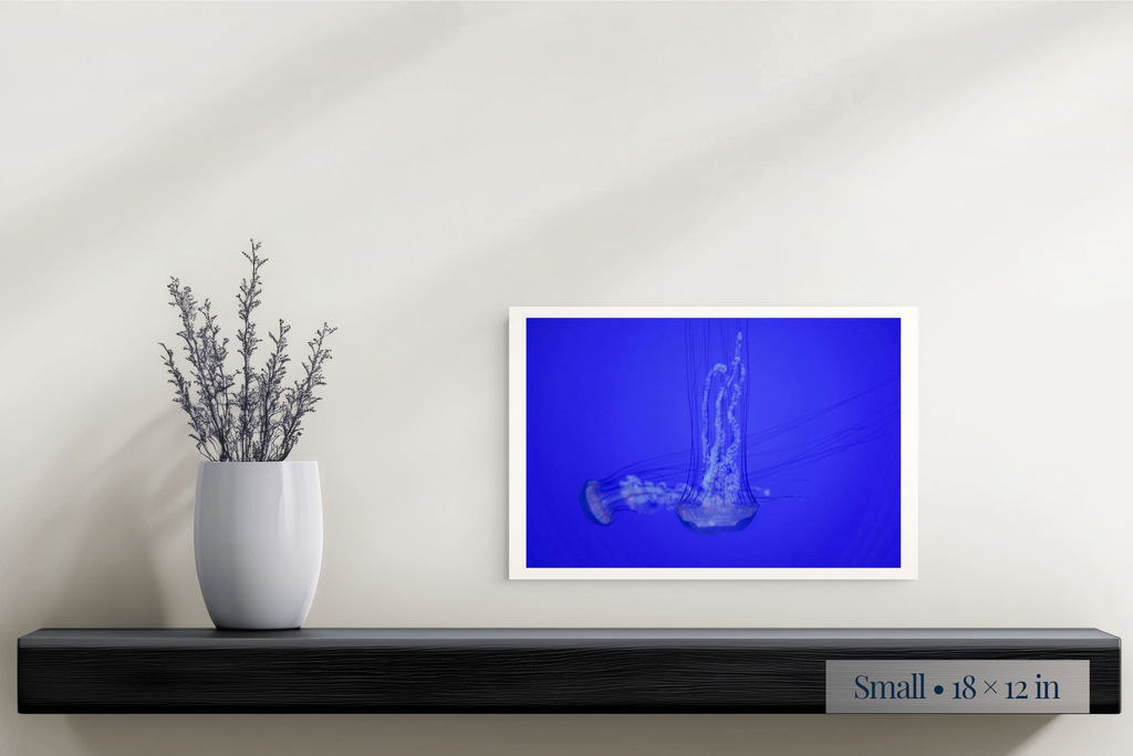Small: Free Form shown as a Small 18 × 12-inch print above a shelf.