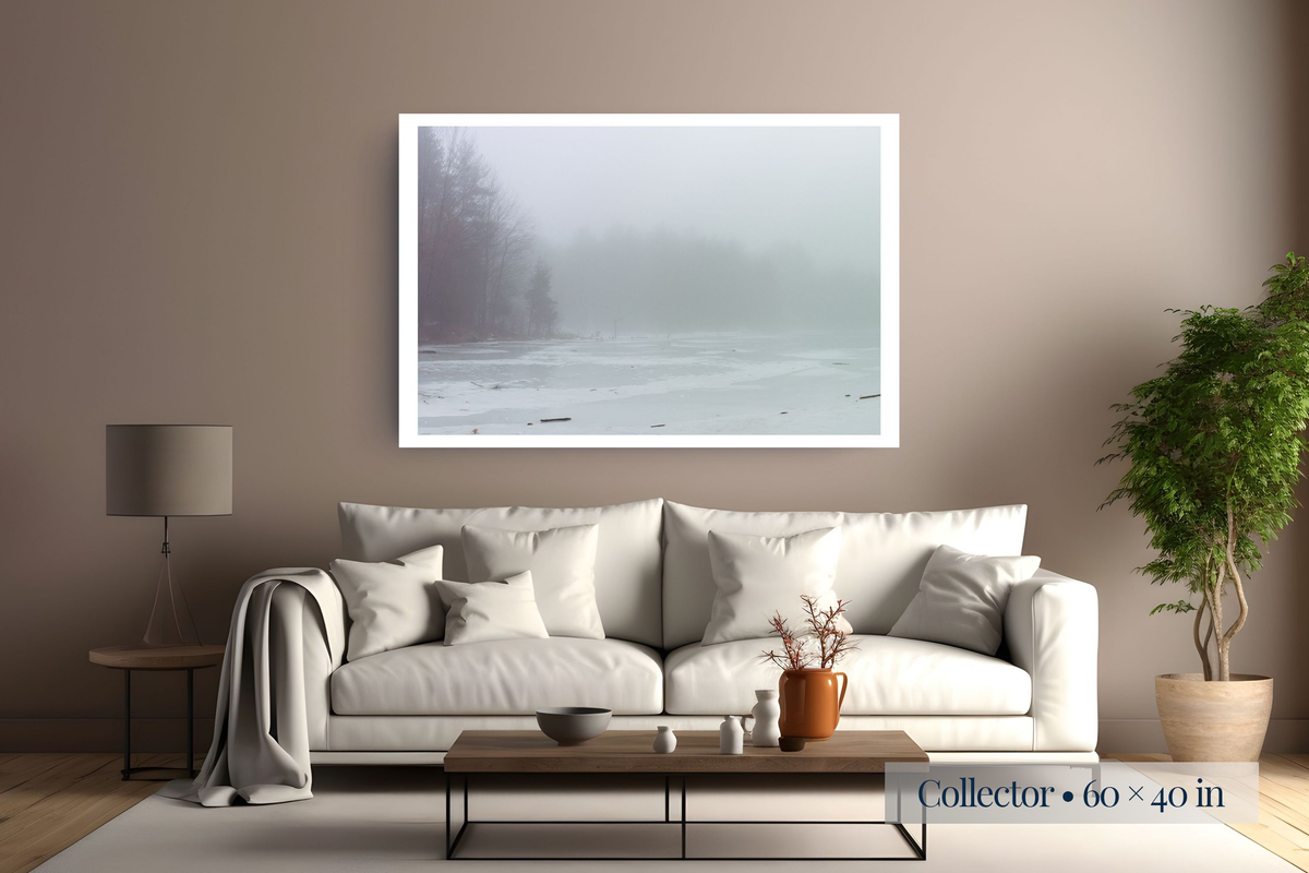 Collector: More Than What Is Evident shown as a Collector 60 × 40-inch print above a sofa.